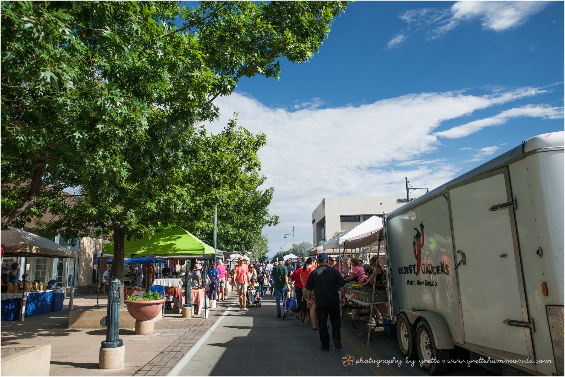 Las Cruces Farmers' Market - Photography by Yvette